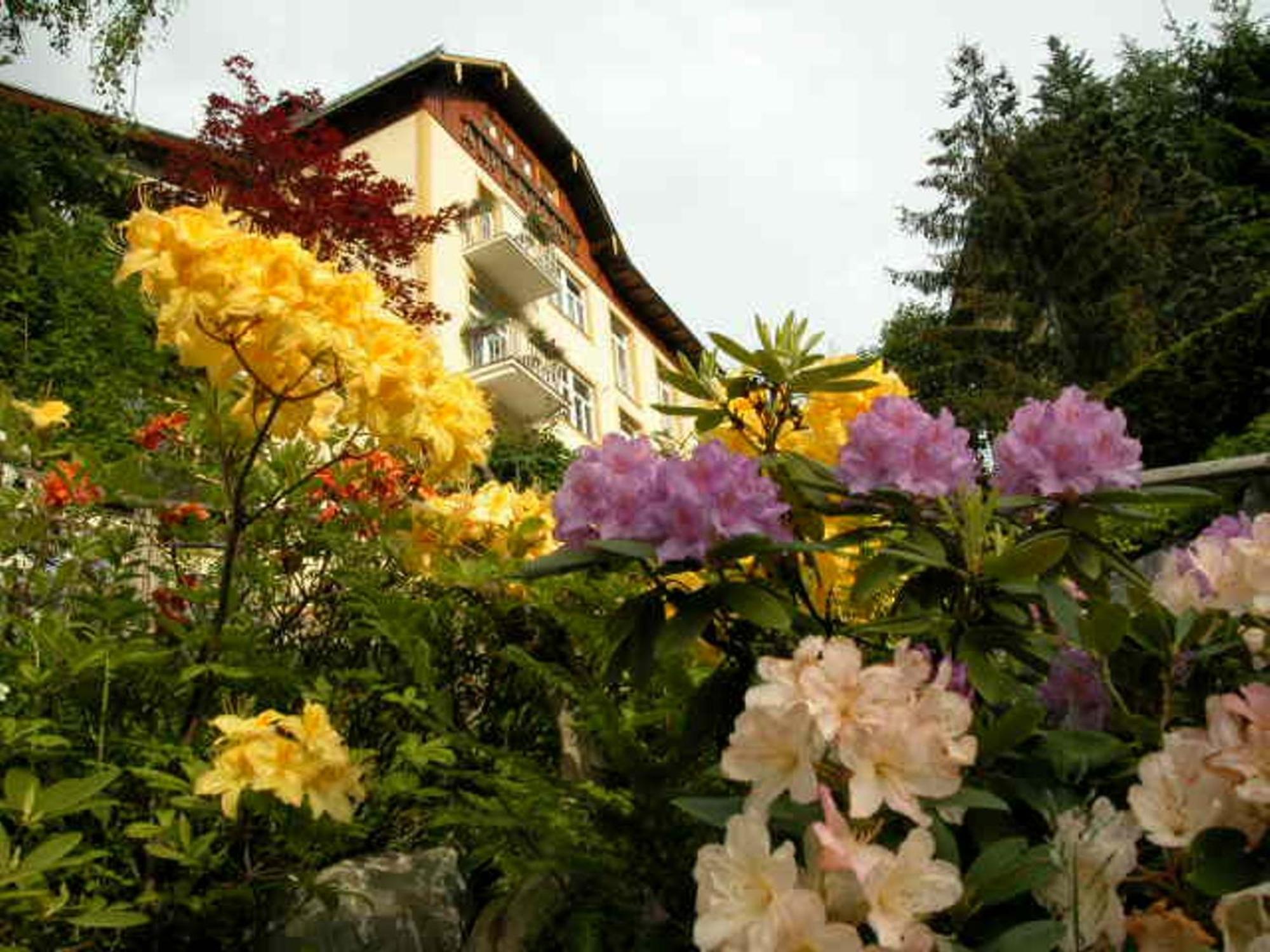 Hotel Alpenblick Bad Gastein Buitenkant foto